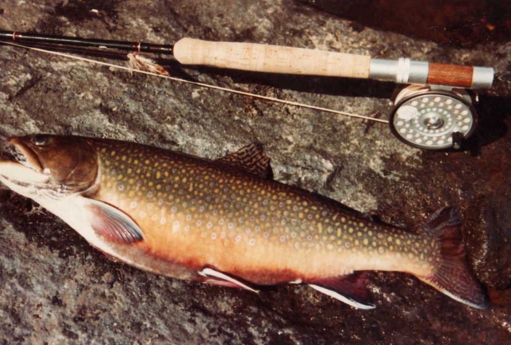 Mouches montées et boîtes de mouches Fario Pêche